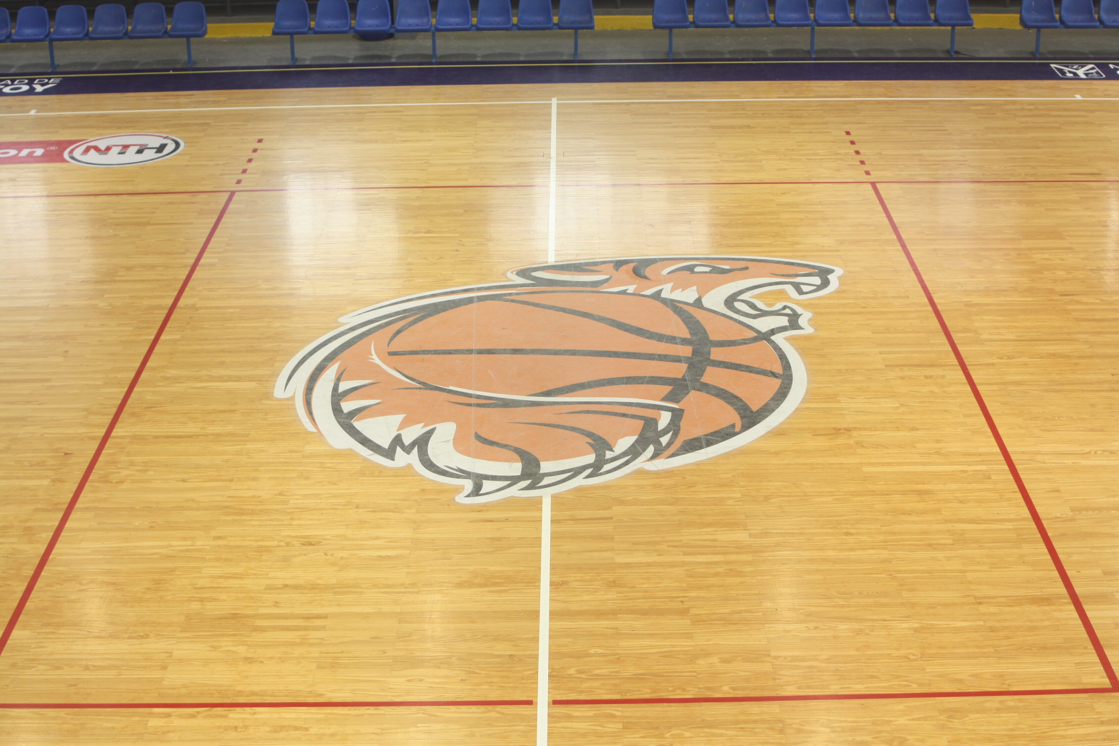 Estadio Sur - Campo de Juego